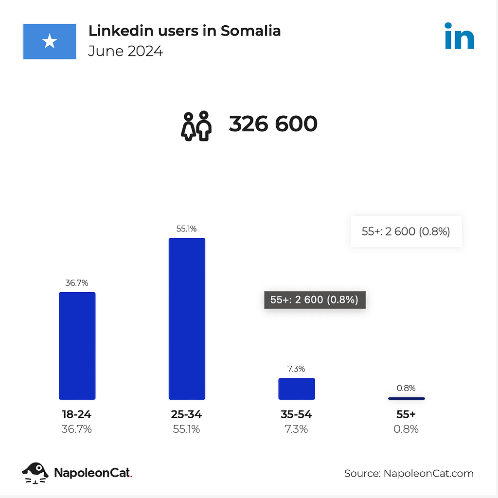 Monthly LinkedIn Users in Somalia